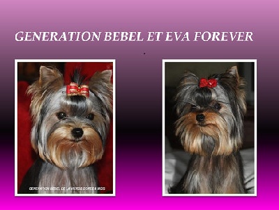 i am lucky revery - GENERATION BEBEL ET EVA A 6 MOIS